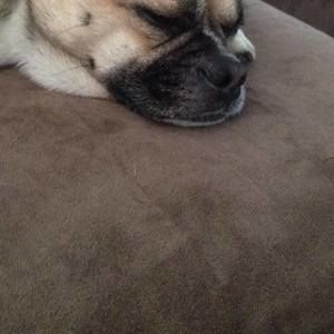 Meet your Posher, Maritza